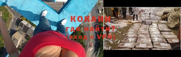 шишки Покров