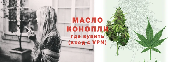 spice Богородицк