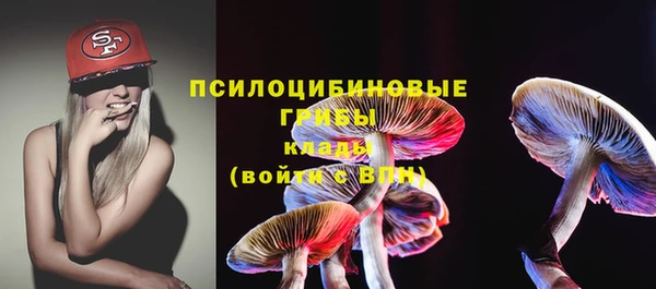 spice Богородицк
