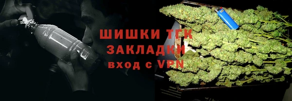 spice Богородицк