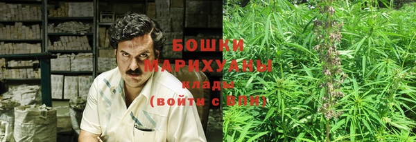 spice Богородицк