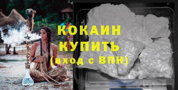 spice Богородицк