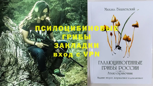 метамфетамин Богданович