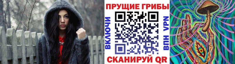Галлюциногенные грибы Cubensis Купить где Светогорск