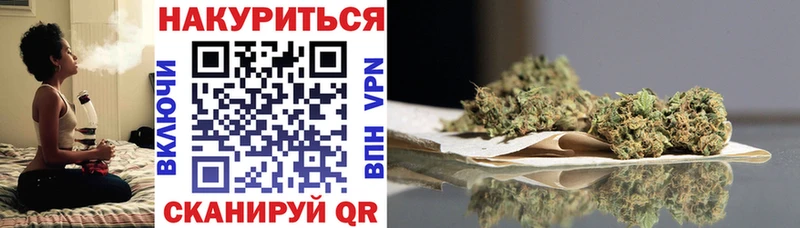 Купить где  Светогорск  Канабис индика 